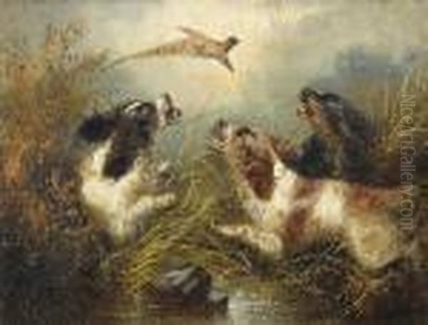 Spaniels Putting A Pheasant Up Oil Painting by George Armfield