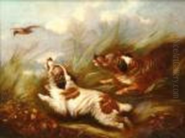 Two Spanielsputting Up Woodcock Oil Painting by George Armfield