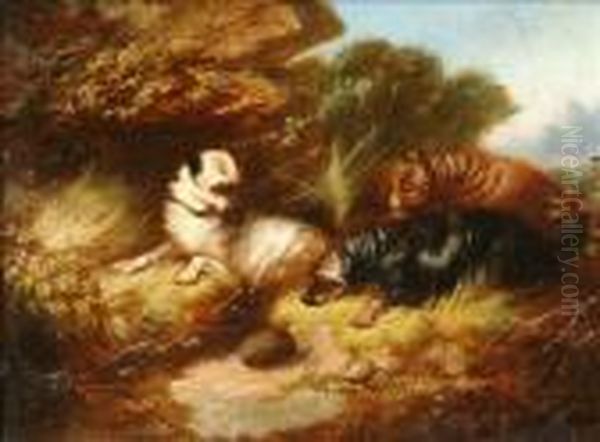 Three Terriersworrying A Hedgehog Oil Painting by George Armfield