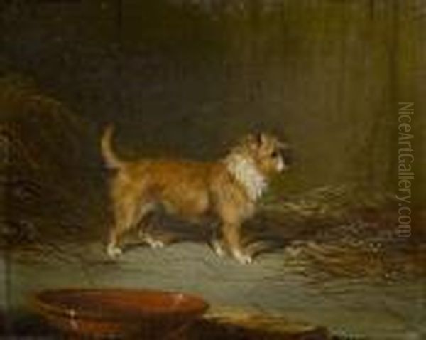 A Terrier In A Stable Oil Painting by George Armfield