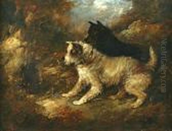 Terriers Oil Painting by George Armfield