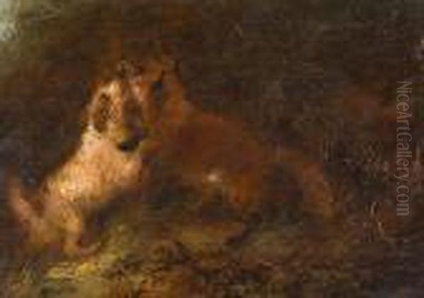 Dog And Fox Oil Painting by George Armfield