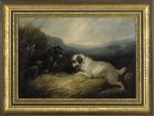 Terriers At A Rabbit Hole Oil Painting by George Armfield