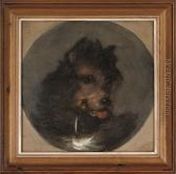 A Young Terrier Oil Painting by George Armfield