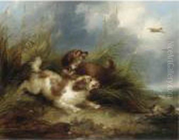 Spaniels Flushing Mallard Oil Painting by George Armfield