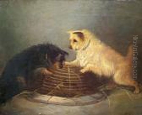 Two Terriers Ratting In A Barn Oil Painting by George Armfield