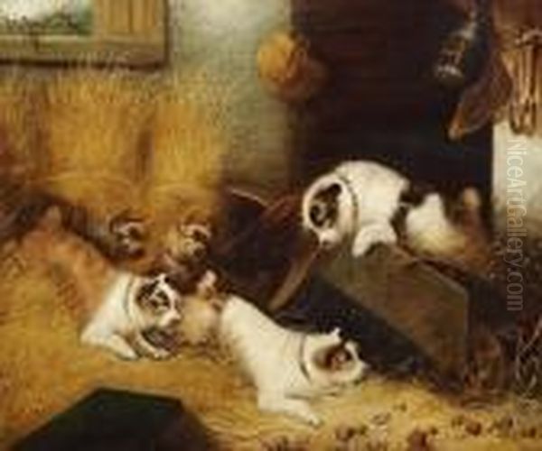 Five Dogs Playing In A Stable Oil Painting by George Armfield