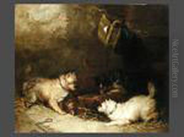 Hunde Vor Einem Vogelkafig Oil Painting by George Armfield