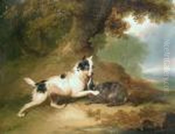 Badger Hound With His Quarry Oil Painting by George Armfield