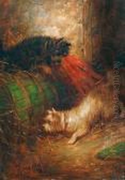 Terriers Ratting
 Oleo Sobre Tabla Oil Painting by George Armfield