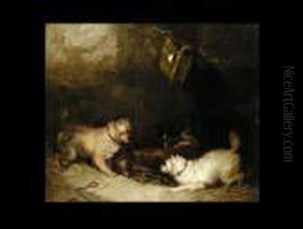 Hunde Vor Einem Kafig Oil Painting by George Armfield