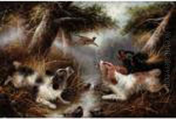 Spaniels And A Pheasant Oil Painting by George Armfield