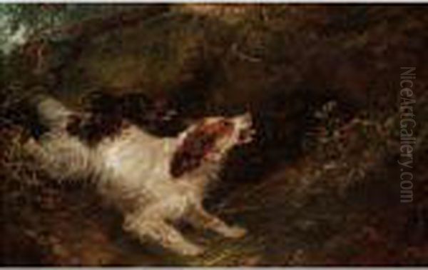 Spaniels And Woodcock Oil Painting by George Armfield