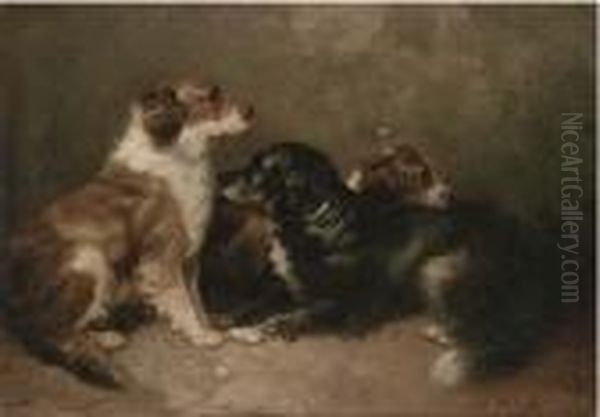 Resting Setters Oil Painting by George Armfield