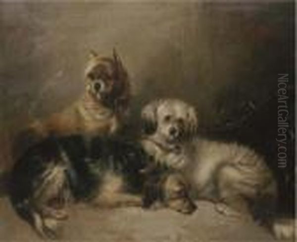 Three Mischievous Terriers Oil Painting by George Armfield