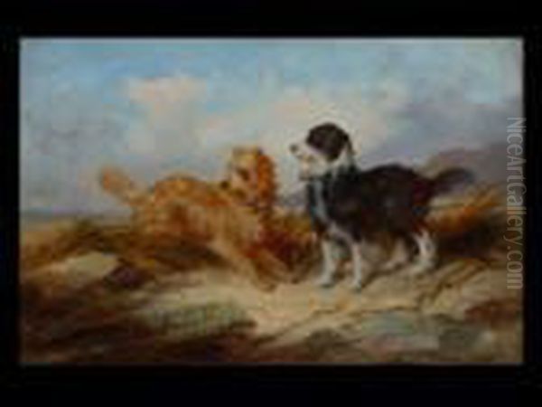 Hunde In Den Dunen Oil Painting by George Armfield