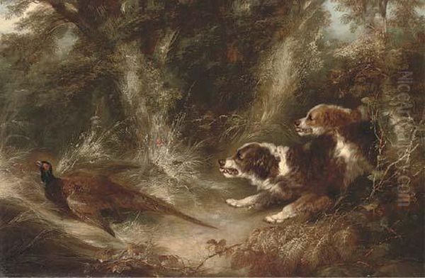 Two Spaniels With A Pheasant Oil Painting by George Armfield