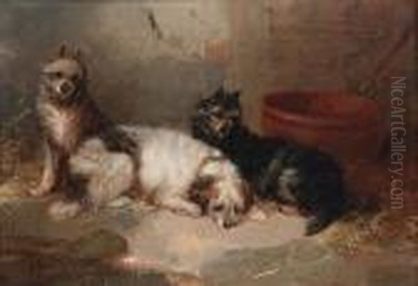 Three Terriers In An Interior Oil Painting by George Armfield