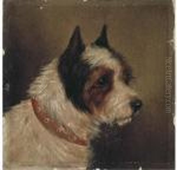 The Head Of A Terrier Oil Painting by George Armfield