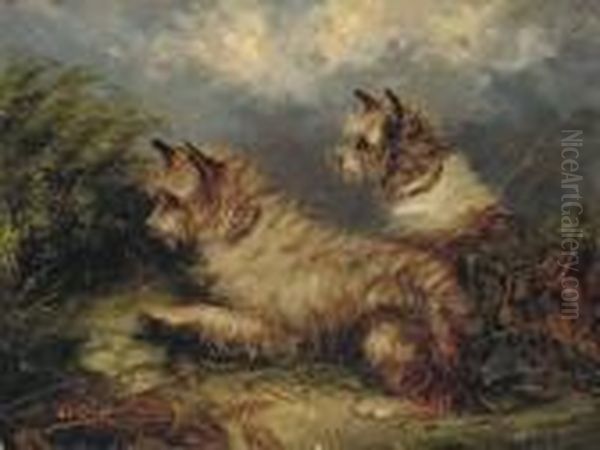 Terriers At A Rabbit Hole Oil Painting by George Armfield