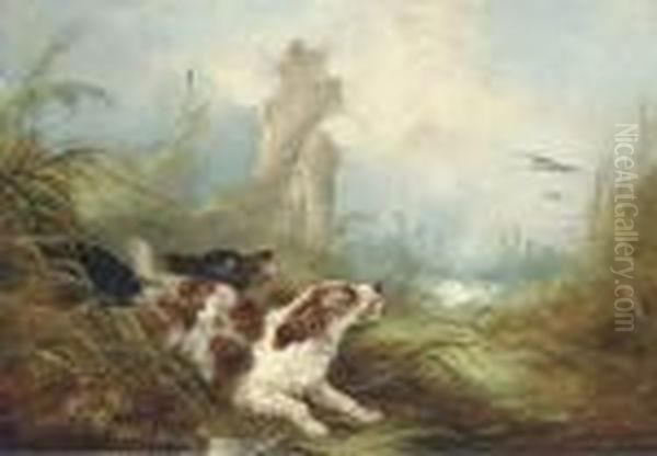 Spaniels Flushing Out Mallards Oil Painting by George Armfield