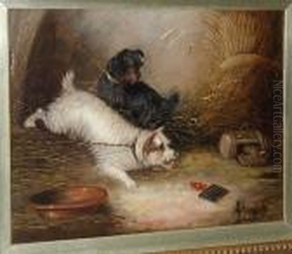 Terriers Leashed In A Barn Oil Painting by George Armfield