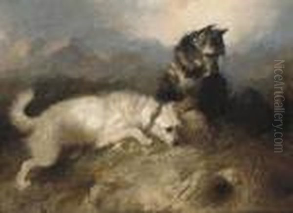 Terriers At A Rabbit Hole Oil Painting by George Armfield