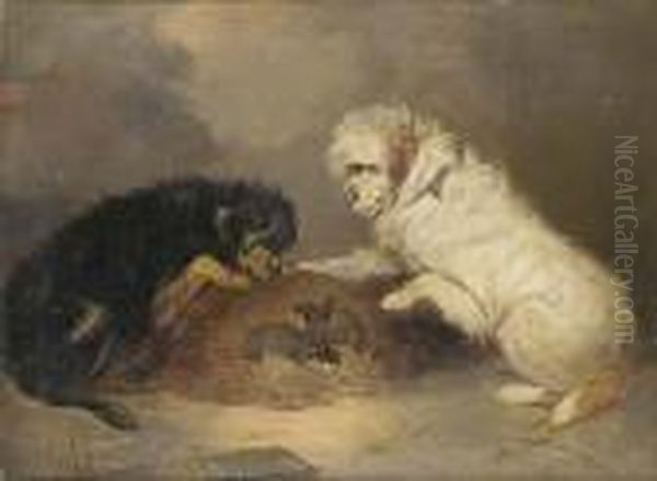 Terriers And A Rat Cage Oil Painting by George Armfield