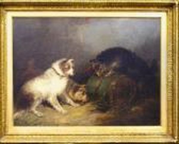 Terriers Ratting Oil Painting by George Armfield