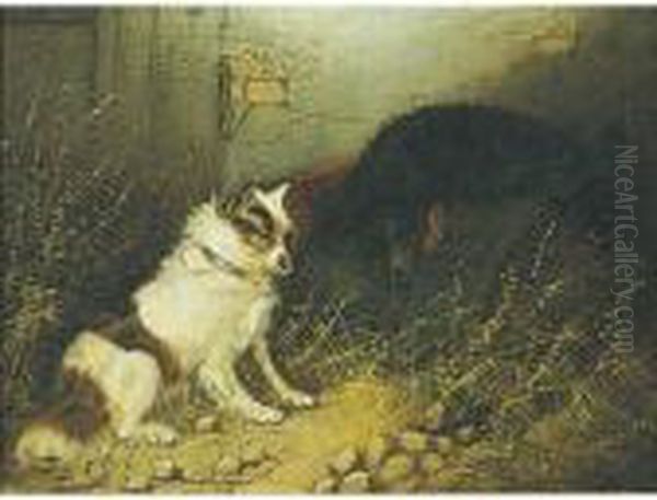 Terriers Ratting: A Pair Of Paintings Oil Painting by George Armfield