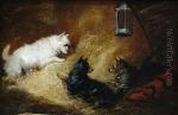 Three Terriers In A Stable Oil Painting by George Armfield