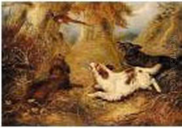 Spaniels And A Pheasant Oil Painting by George Armfield