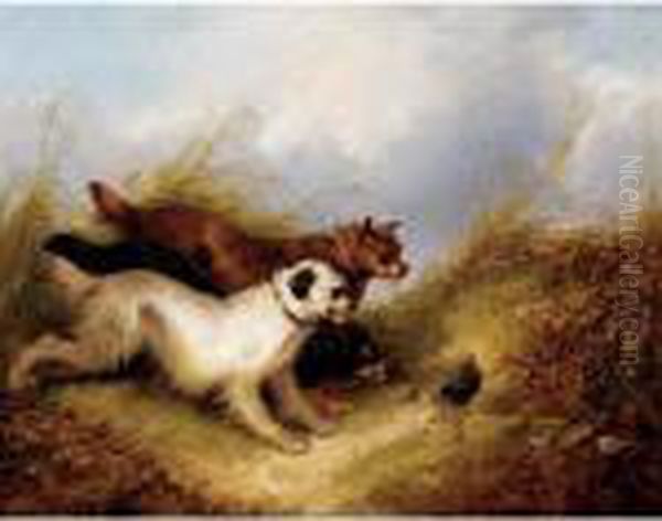 Terriers Rabbiting Oil Painting by George Armfield