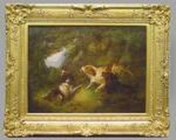 Spaniels Flushing Pheasant Oil Painting by George Armfield