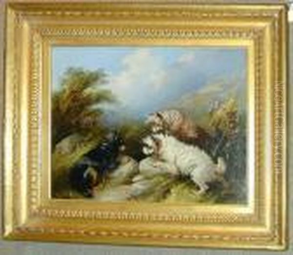 Threeterriers Rabbiting Oil On Canvas 14 1/4 X 18in Oil Painting by George Armfield