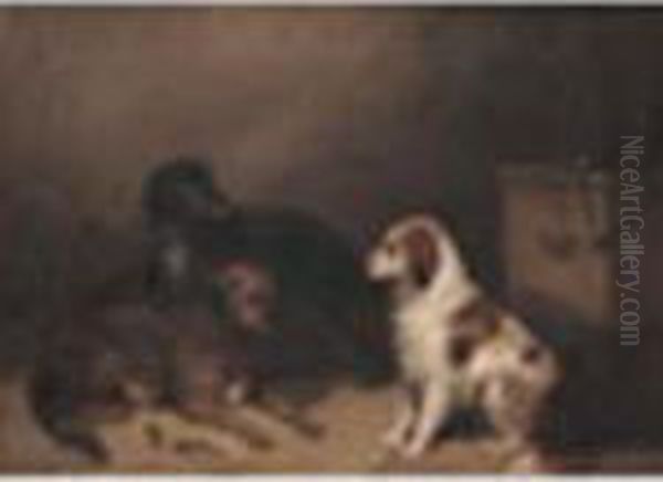 Three Spaniels In An Interior Oil On Canvas 12 X 16in Oil Painting by George Armfield