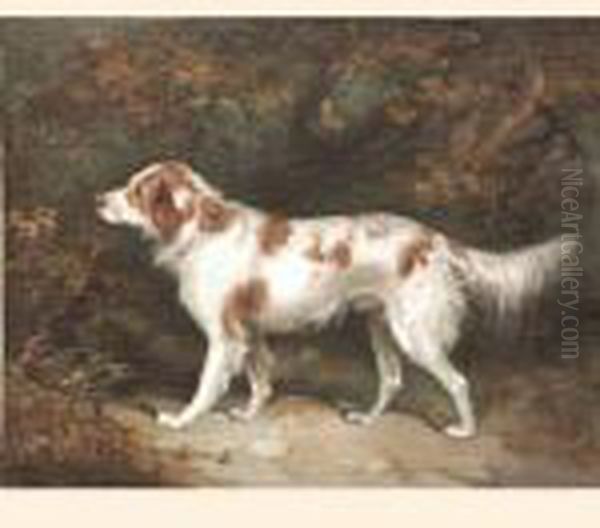 Setter In A Landscape; Terrier In An Interior Oil Painting by George Armfield