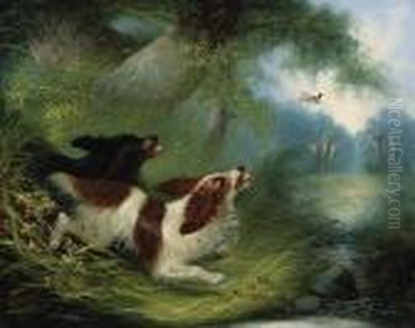 Spaniels Putting Up A Duck Oil Painting by George Armfield