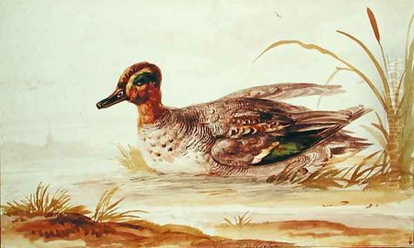 Teal on the water Oil Painting by Jan Van Huysum