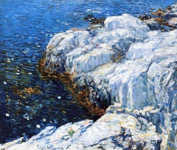 Jelly Fish Oil Painting by Frederick Childe Hassam