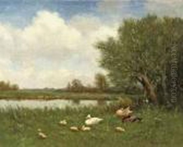 Ducks And Ducklings On A River Bank Oil Painting by David Adolf Constant Artz