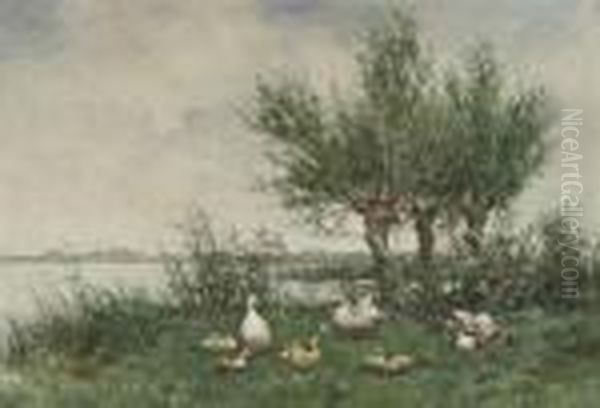 A Duck Family Resting On A River Bank Oil Painting by David Adolf Constant Artz