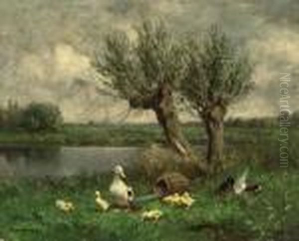 Ducks Near Two Willows On The Bank Of A Stream Oil Painting by David Adolf Constant Artz