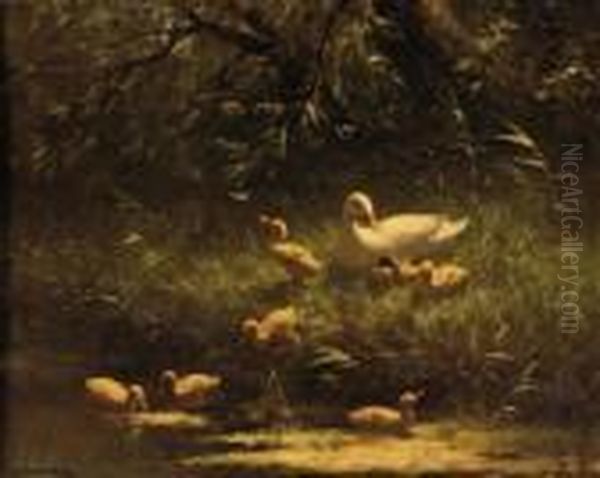 Mother Duck And Her Ducklings Oil Painting by David Adolf Constant Artz