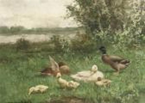 Ducks Near The Waterside Oil Painting by David Adolf Constant Artz