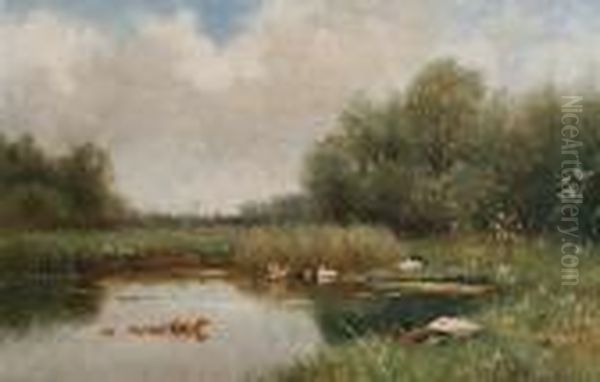 Ducks In A Summer Pond by David Adolf Constant Artz