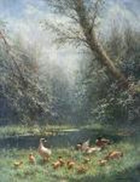 Ducks And Ducklings On A River Bank In Sunlight Oil Painting by David Adolf Constant Artz