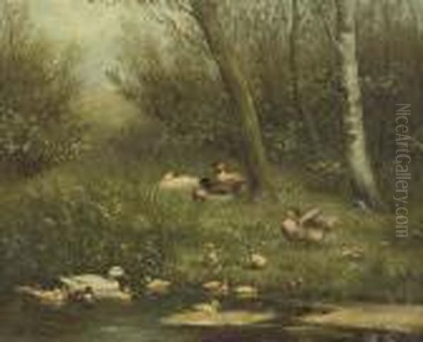 A Swim In The Pond Oil Painting by David Adolf Constant Artz