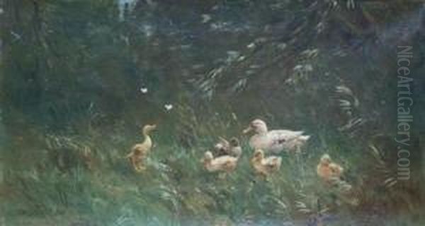 Ducks And Butterflies Oil Painting by David Adolf Constant Artz