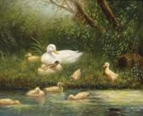 Ducks By The Water Oil Painting by David Adolf Constant Artz